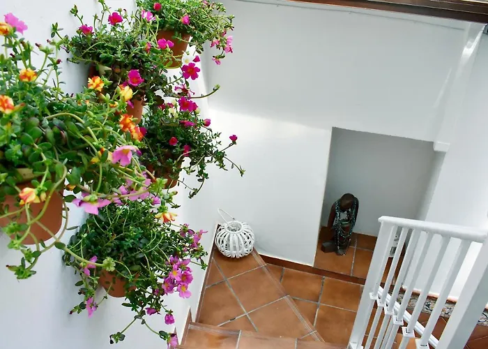 Casa Calma Estudio Apartment *