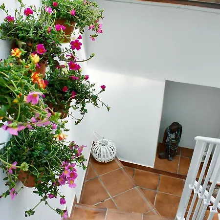 Casa Calma Estudio アパート *